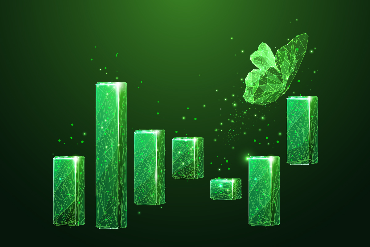 گزارش وضعیت اکوسیستم در دی ماه ۱۴۰۴